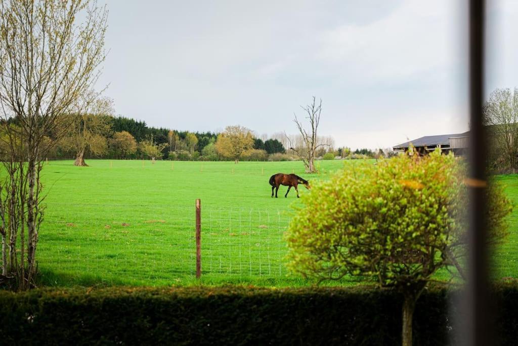 Gite La Dame Au Lit Gite A La Ferme Momignies Bagian luar foto