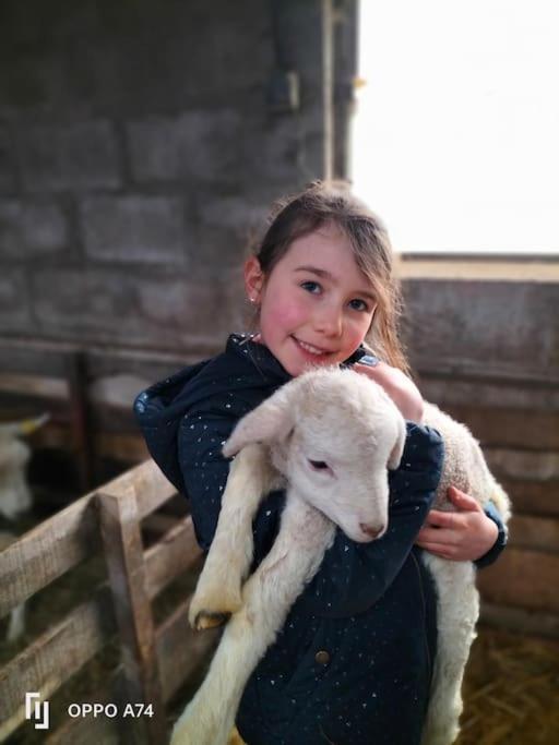 Gite La Dame Au Lit Gite A La Ferme Momignies Bagian luar foto