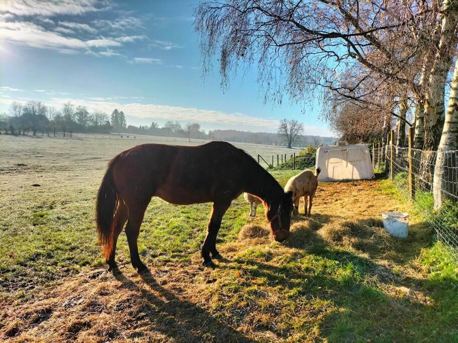 Gite La Dame Au Lit Gite A La Ferme Momignies Bagian luar foto