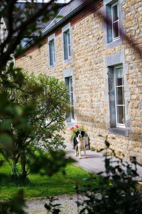 Gite La Dame Au Lit Gite A La Ferme Momignies Bagian luar foto
