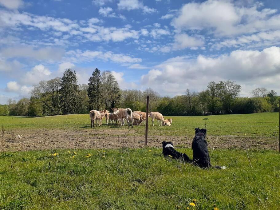 Gite La Dame Au Lit Gite A La Ferme Momignies Bagian luar foto